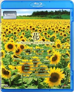 花?Scenery with Flowers? V-music [Blu-ray](中古品)　(shin