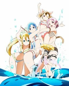 【中古 良品】 ソードアート・オンライン Extra Edition(完全生産限定版) [DVD]　(shin