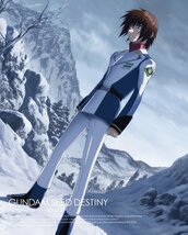 機動戦士ガンダムSEED DESTINY HDリマスター Blu-ray BOX (MOBILE SUIT GUNDAM SEED DE　(shin_画像1