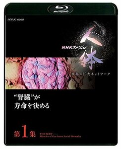 NHKスペシャル 人体 神秘の巨大ネットワーク 第1集 腎臓が寿命を決める [Blu-ray](中古品)　(shin