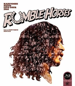 KAZUYOSHI SAITO LIVE TOUR 2014 “RUMBLE HORSES”Live at ZEPP TOKYO 2014.12.12 (Blu-ray通常盤)(中古 未使用品)　(shin