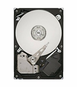 Seagate 3.5インチ内蔵HDD 400GB Serial-ATA/300 7200rpm 8MB 8ms 流体軸受 NCQ(中古品)　(shin