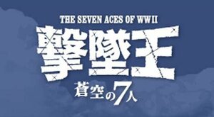 ハセガワ 1/48 撃墜王-蒼空の7人 W.W.2 世界のエース機7機セット(未使用・未開封品)　(shin