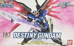 HG 1/144 デスティニーガンダム クリアカラーバージョン（ガンプラEXPO2006）プラモデル　(shin