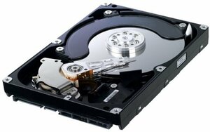 Samsung 3.5インチHDD(SerialATA)/容量:1TB/回転数:5400rpm/キャッシュ:32MB HD103SI　(shin