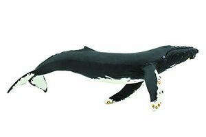 サファリ レプリカ ザトウクジラ(親)(未使用品)　(shin