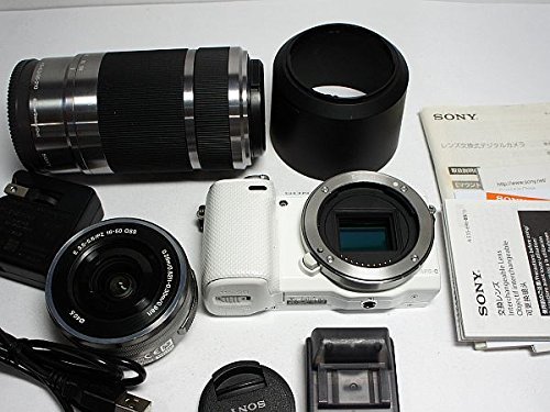 2023年最新】ヤフオク! -nex-5r レンズの中古品・新品・未使用品一覧