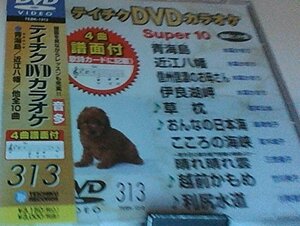 テイチクDVDカラオケ スーパー10(313)(中古 未使用品)　(shin