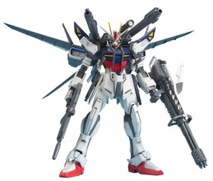 MG 1/100 GAT-X105E ルカス・オドネル専用 ストライクE + I.W.S.P. (機動戦士ガンダムSEED FRA(中古品)　(shin