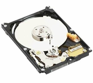 (Õi)WESTERN DIGITAL 2.5C`HDD 250GB U-ATA100 5400rpm 8MB WD2500BEVE@(shin