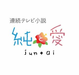 連続テレビ小説 純と愛 総集編 [DVD](中古 未使用品)　(shin