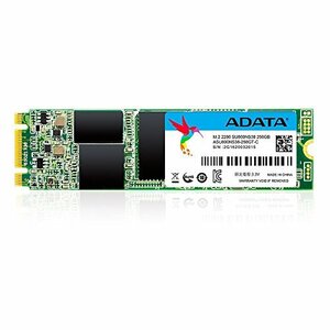 ADATA M.2 2280 SSD Ultimate SU800 シリーズ 256GB(中古品)　(shin