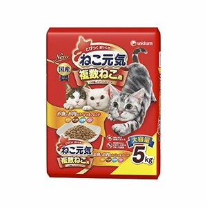 【新品】 ねこ元気 複数ねこ用 お魚とお肉のスペシャルブレンド まぐろ・かつお・白身魚・チキン入り 5kg　(shin