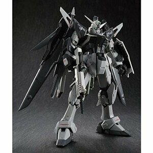 RG 1/144 ZGMF-X42S デスティニーガンダム ディアクティブモード プラモデル （プレミアムバンダイ限定）(中古 未使用品)　(shin