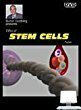 Stem Cells [DVD](中古品)　(shin