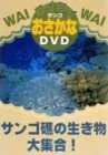 ワイワイおさかなDVD サンゴ礁の生き物大集合!(中古品)　(shin