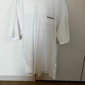 patagonia パタゴニアTシャツ