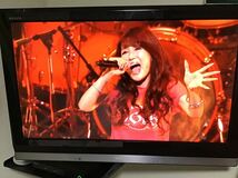 〓30th Anniversary Mari Hamada Live Tour -Special- 浜田麻里 LIVE DVD〓_画像10