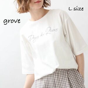 grove グローブ Tシャツ 白Tシャツ ZARA ユニクロ H&M アンティカ antiqua WEGO EMODA