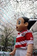 ラグビーワールドカップ 日本代表 ユニフォーム アトム グッズセット 2019 桜 エンブレム ( キーホルダー Tシャツ パーカー キャップ )_画像3