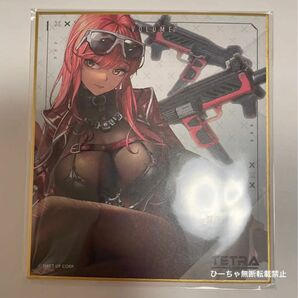 美品】勝利の女神 nikke ニケ　メガニケ　ボリューム　色紙　ランダム色紙