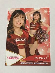 HARUKA 2023 BBM チアリーダー 舞 レギュラーカード 楽天 東北ゴールデンエンジェルス 即決