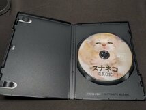 セル版 DVD 砂漠の天使 スナネコ成長日記 / 難有 / eg663_画像3