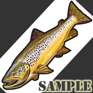  Brown форель стикер 13×5 (cm) BR09 [ fly шерсть игла рыбалка рыба . рыбалка ]
