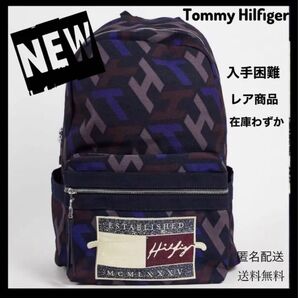 【日本未発売×レア商品】トミーヒルフィガー リュック バックパック 収納バッグ