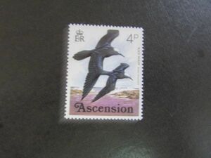 ⑪動物コレクション　鳥；カモメ科；ヒメクロアジサシ　アセッション　1種　1976.4.26