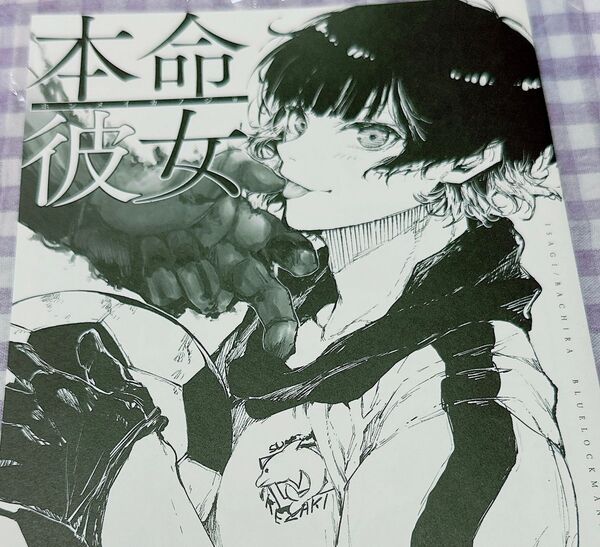 ブルーロック同人誌 潔世一×蜂楽廻 潔蜂 isbt