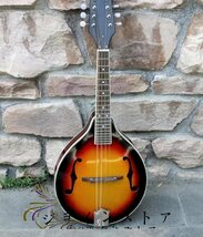 高級製品! 職人手作り製作 マンドリン Mandolin 表面単板 スプルース 高級 良い音色 演奏 高品質 ケース付き_画像1