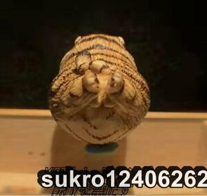 Netsuke -Suggestions Kazunagi [Tiger] Netsui ★ ・ Toyo Sculpture ・ Современная Netsuke (для поиска: скульптура/Intra/Promotion/Tobacco вставка/Netsuke/Netsuke)