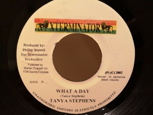 極上ラバーズ/Tanya Stephens/What A Day