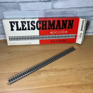 51.FLEISCHMANN9100