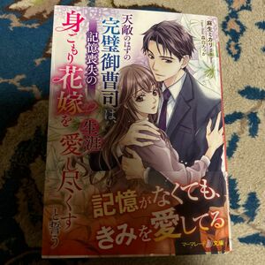 天敵のはずの完璧御曹司は、記憶喪失の身ごもり花嫁を生涯愛し尽くすと誓う （マーマレード文庫　ア３－０４） 麻生ミカリ／著