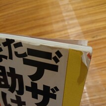 MdN編集部 『またまたデザイナーの仕事を助ける本 グラフィックデザインに悩んだら！』インプレスムック 2004年 CD-ROM未開封_画像5