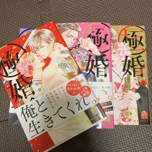 極婚 1〜4巻