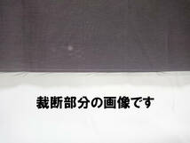 お化け屋敷 文化祭 学園祭 幽霊 お化け カーテン ハロウィン 廃墟を守る少女 恐子さん ハロウィーン 飾り ホラー ホラーナイト 幽霊の飾り_画像6