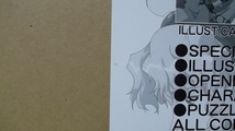 神秘の世界 エルハザード OVA　販促用チラシ　ブロッコリー・ハイブリッド・カード・コレクション　当時物_画像4