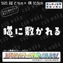 猫に敷かれる①ステッカー　文字絵柄だけ残るカッティングステッカー・車・カブ・猫・ネコ・にゃんこ・リアガラス・リアボックス・窓_画像1