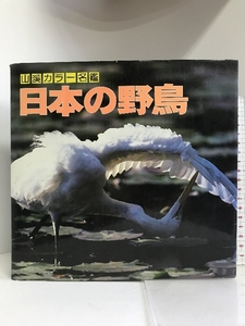 日本の野鳥 (山渓カラー名鑑) (山溪カラー名鑑) 山と渓谷社 高野 伸二