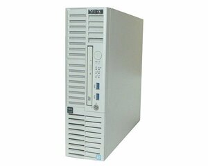 NEC iStorage NS100Th (NF8100-237S01Y) Xeon E3-1220 V6 3.0GHz メモリ 32GB HDD 1TB×2 (SATA 2.5インチ) DVD-ROM