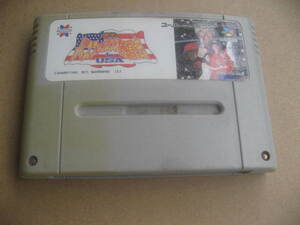 ＳＦＣ バスフィッシング必勝法 イン USA カセットのみ,1995年