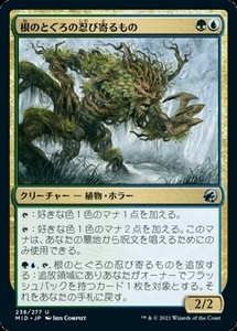 MTG ■金/日本語版■ 《根のとぐろの忍び寄るもの/Rootcoil Creeper》イニストラード真夜中の狩り MID