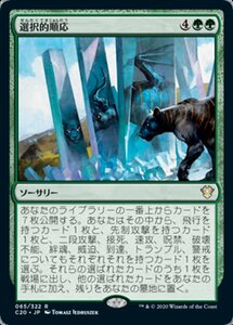 MTG ■緑/日本語版■ 《選択的順応/Selective Adaptation》統率者2020 C20