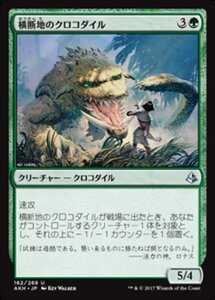 MTG ■緑/日本語版■ 《横断地のクロコダイル/Crocodile of the Crossing》★FOIL★ アモンケット AKH