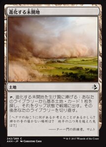 MTG ■土地/日本語版■ 《進化する未開地/Evolving Wilds》アモンケット AKH