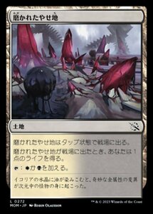 MTG ■土地/日本語版■ 《磨かれたやせ地/Scoured Barrens》★FOIL★ 機械兵団の進軍 MOM