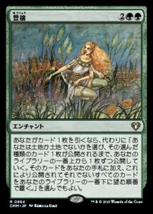 MTG ■緑/日本語版■ 《豊穣/Abundance》統率者マスターズ CMM